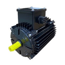 Motor, Evaporator fan